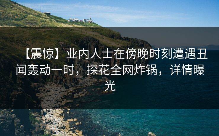 【震惊】业内人士在傍晚时刻遭遇丑闻轰动一时，探花全网炸锅，详情曝光