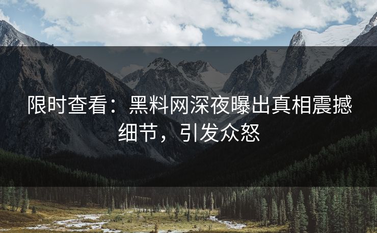 限时查看：黑料网深夜曝出真相震撼细节，引发众怒