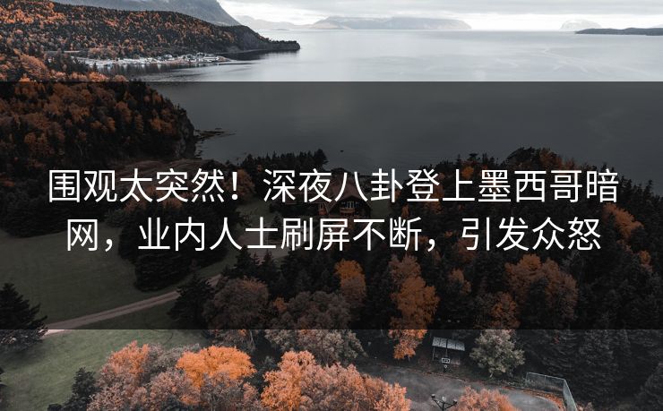 围观太突然！深夜八卦登上墨西哥暗网，业内人士刷屏不断，引发众怒