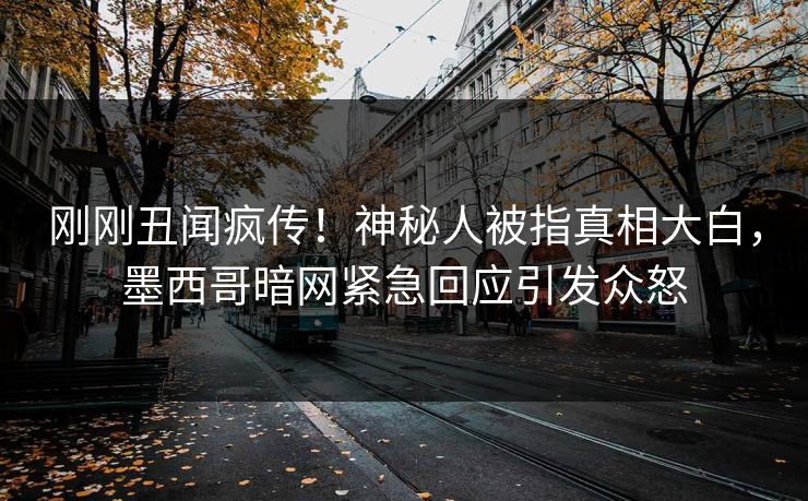 刚刚丑闻疯传!神秘人被指真相大白,墨西哥暗网紧急回应引发众怒